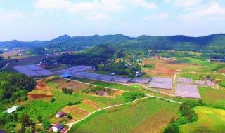 现代农业项目 现代农业项目